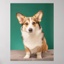 Search for corgi posters Queen elizabeth's