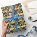 Search for florida wrapping paper Anderson design group