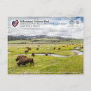 Search for american national park postcards Yellowstone