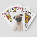 Search for pug playing cards Baby