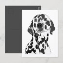 Search for black and white postcards Illustration