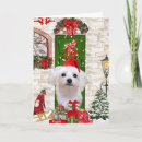 Search for maltese christmas cards Pet