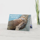 Search for gratitude holiday cards Cat