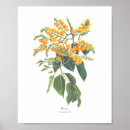 Search for botanical illustration posters Flora