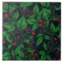 Search for fruit tiles Raspberry