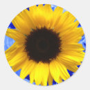 Search for happy summer stickers Joy