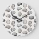 Search for brain clocks Doctor