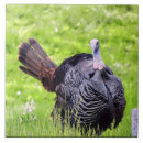 Search for outdoor tiles Brown