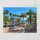 Search for tampa postcards Summer