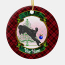 Search for red poodle ornaments Puppy