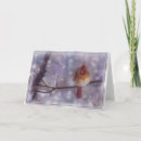 Search for late christmas cards Winter