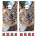 Search for cat in cornhole sets Kitten