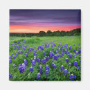 Search for texas bluebonnet gifts Garden