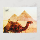 Search for greetings from egypt postcards Camel