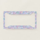 Search for iridescent license plates Modern