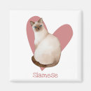 Search for flame point siamese cat Watercolor