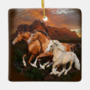Search for arizona ornaments New mexico