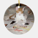 Search for adoption ornaments Foster