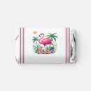 Search for flamingo favors Florida