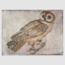 Search for owl tissue paper Decoupage