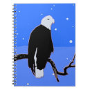 Search for nest notebooks snow