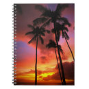 Search for beach notebooks Palm tree