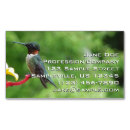 Search for hummingbird business cards Ruby throated hummingbird