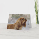 Search for cavalier king charles spaniel christmas cards Pet