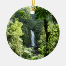 Search for waterfall ornaments Rainforest