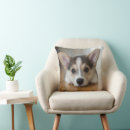 Search for pembroke welsh corgi pillows Puppy