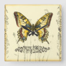 Search for butterfly clocks Wildflowers