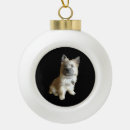 Search for cairn terrier ornaments Cute