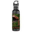 Search for red panda water bottles Wildlife