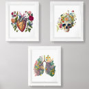 Search for human body organs Doctor