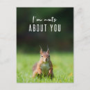 Search for funny squirrel postcards humour