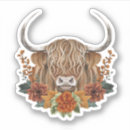 Search for scottish highland cow stickers Cattle