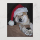 Search for shiba inu christmas cards Santa