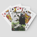 Search for panda playing cards Wildlife