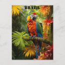 Search for brazil postcards Travel