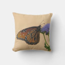 Search for orange pillows Cute