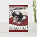 Search for veterinarian birthday cards Friend