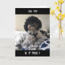 Search for dog grandma cards Funny