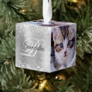 Search for gray cat ornaments Grey