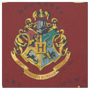 Search for slytherin crafts party Gryffindor