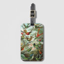 Search for hummingbird luggage tags jungle