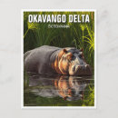 Search for hippo postcards Nature