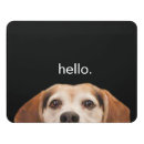 Search for funny door signs Cute