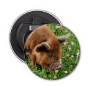 Search for pig bottle openers animals