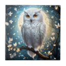 Search for owl tiles Bird