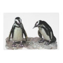 Search for cute animals placemats penguins